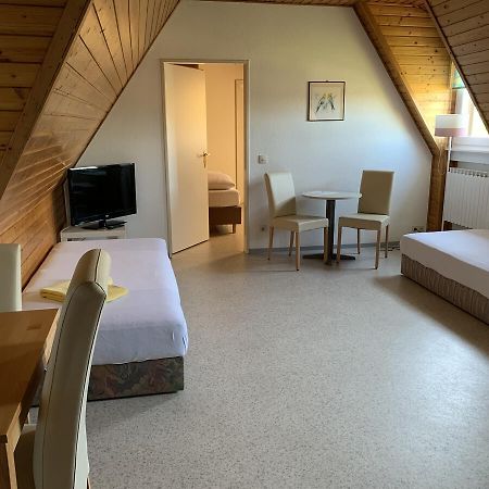 Gaestehaus An Der Rheinbruecke Altlussheim Exteriör bild