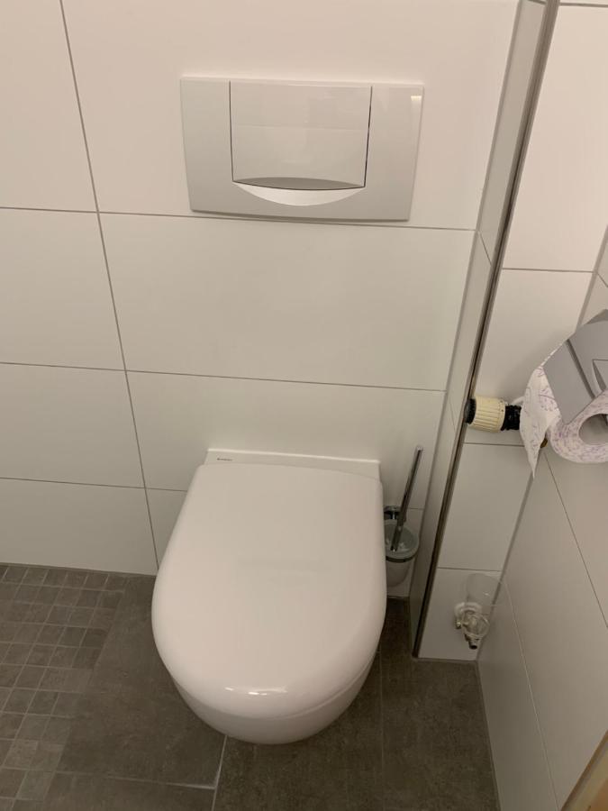 Gaestehaus An Der Rheinbruecke Altlussheim Exteriör bild